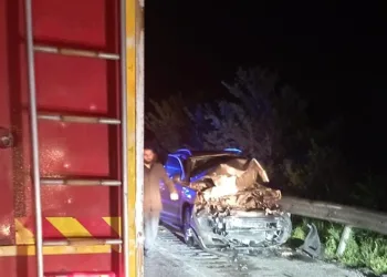 Büyükbaş hayvan kazaya neden oldu