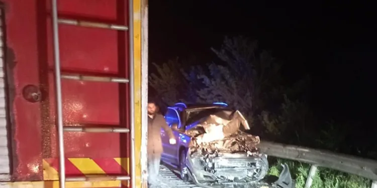 Büyükbaş hayvan kazaya neden oldu