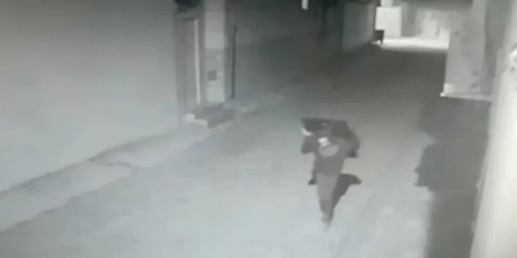 Kendi evini soyan hırsız
