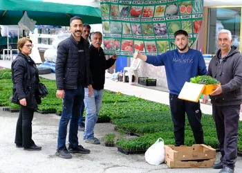 Yılın ilk fideleri tezgahlarda
