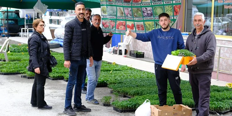 Yılın ilk fideleri tezgahlarda