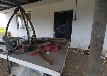 Evinin önünde odun keserken vuruldu