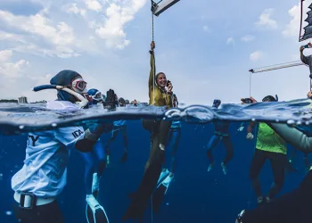 Şahika Ercümen’den yeni bir rekor