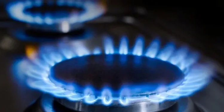 Enflasyon hesaplamasına doğalgaz ayarı