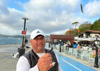 İstavrit bolluğu oltacıları sevindirdi
