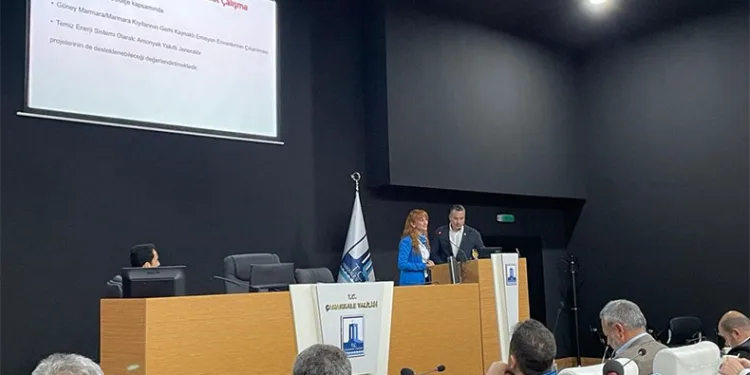 Hava kirletici emisyonların azaltılması programı