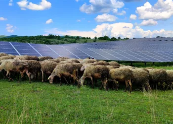 Güneş enerjisi panellerinin temizleyicisi