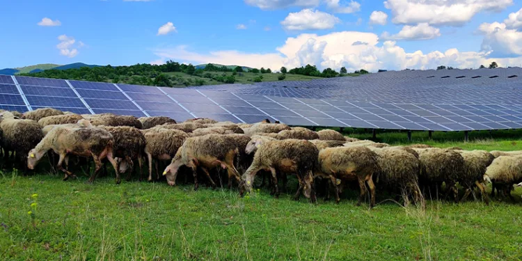 Güneş enerjisi panellerinin temizleyicisi