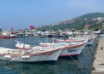 Balıkçılar dip balıkçılığından umutlu