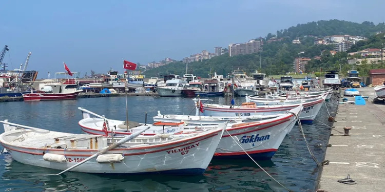 Balıkçılar dip balıkçılığından umutlu