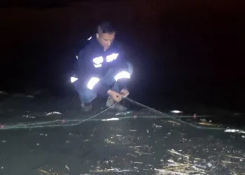 150 kilo inci kefali ele geçirildi