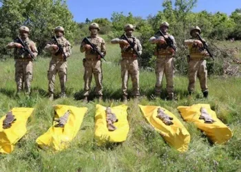 Şırnak’ta 5 terörist etkisiz hale getirildi