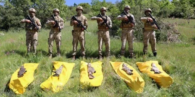 Şırnak’ta 5 terörist etkisiz hale getirildi
