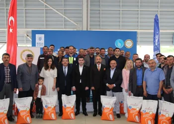 Büyükorhanlı çiftçiye silajlık mısır tohumu