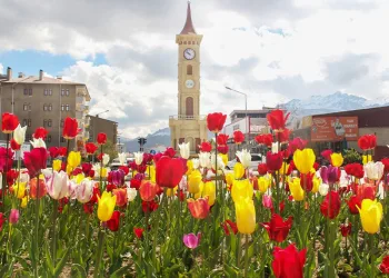 Laleler park ve bahçeleri renklendirdi