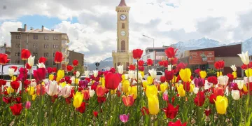 Laleler park ve bahçeleri renklendirdi