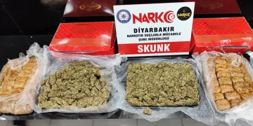 Tatlı kutularından uyuşturucu çıktı