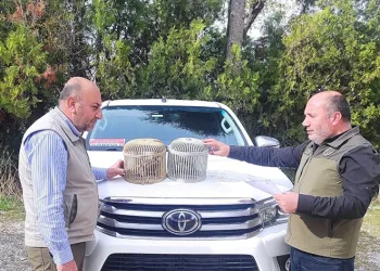 Van’da kafes avcılığı