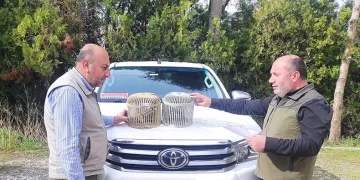 Van’da kafes avcılığı