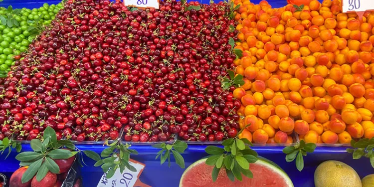 Yaz meyveleri görücüye çıktı