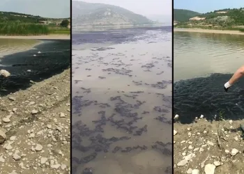 Barajdaki su yüzeyinin siyah renge bürünmesi tedirgin etti