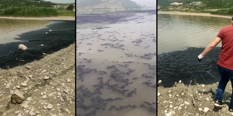 Barajdaki su yüzeyinin siyah renge bürünmesi tedirgin etti