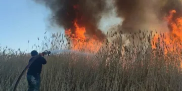 Van Gölü için acil önlem çağrısı