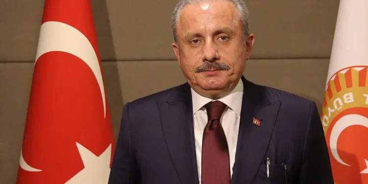 Şentop, Simonyan ile görüştü
