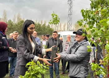 Arı yetiştiricilerine fidan