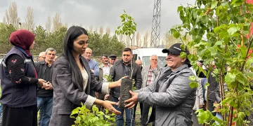 Arı yetiştiricilerine fidan
