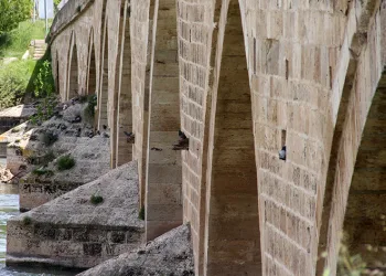 Tarihi köprü kuşlara yuva oldu