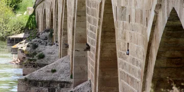 Tarihi köprü kuşlara yuva oldu