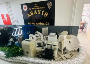Evini uyuşturucu serasına çeviren şüpheli gözaltına alındı