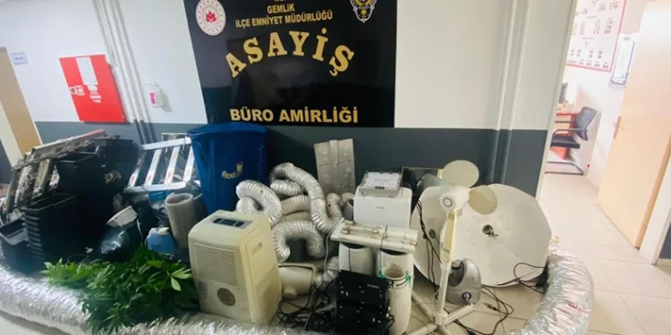 Evini uyuşturucu serasına çeviren şüpheli gözaltına alındı