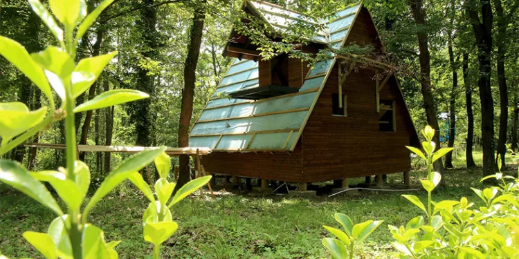 Bungalovlar doğaya renk kattı