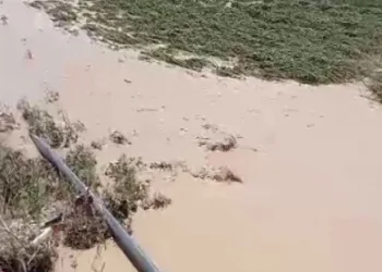 Dolu ve sel çiftçiyi vurdu