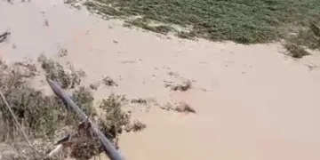 Dolu ve sel çiftçiyi vurdu