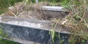 Kastamonu’da ayılar mezarlara dadandı