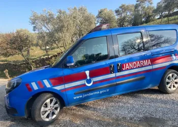 Kaybolan hayvanlar jandarma tarafından bulundu