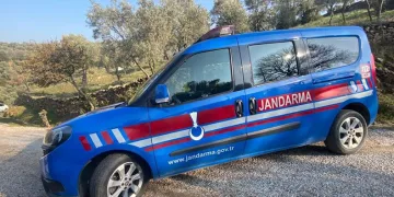 Kaybolan hayvanlar jandarma tarafından bulundu