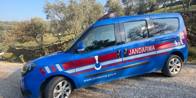 Kaybolan hayvanlar jandarma tarafından bulundu