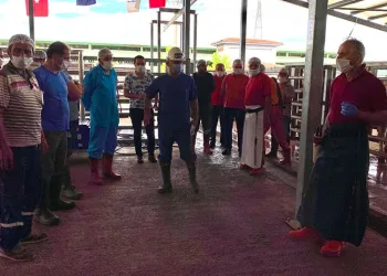 Usullere uygun kurban kesimi için eğitim