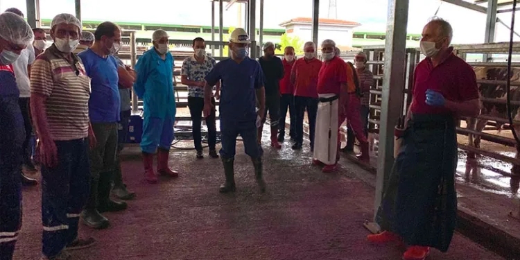 Usullere uygun kurban kesimi için eğitim
