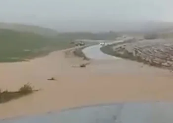 Yağış sele dönüştü, tarım arazileri zarar gördü