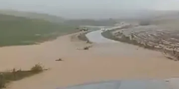 Yağış sele dönüştü, tarım arazileri zarar gördü