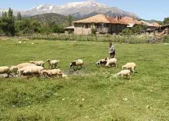 Besiciler yağışlardan memnun