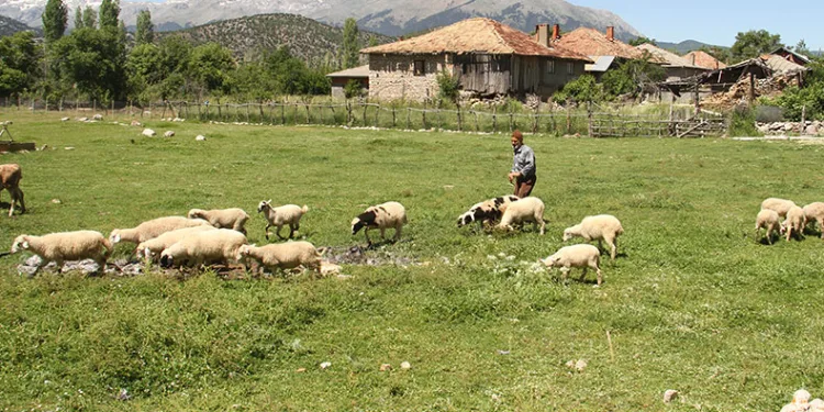 Besiciler yağışlardan memnun