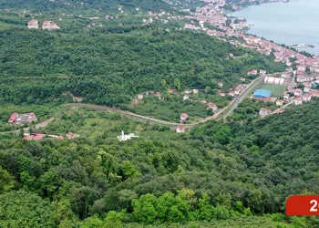 Çöp dağından yeşil ormana
