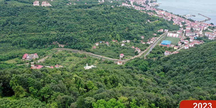 Çöp dağından yeşil ormana