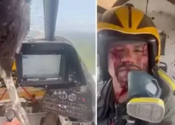 Uçağa çarpan kuş kokpite girdi